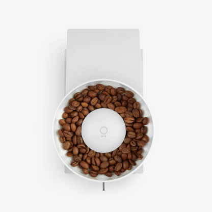 Opus Conical Burr Grinder, molino eléctrico de café